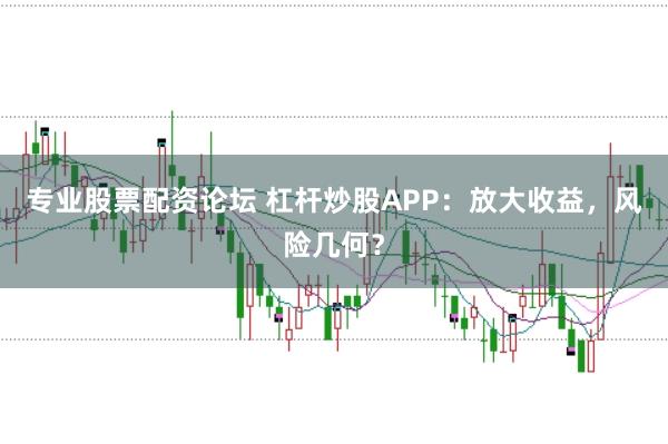 专业股票配资论坛 杠杆炒股APP：放大收益，风险几何？