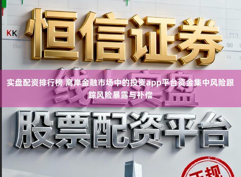 实盘配资排行榜 离岸金融市场中的投资app平台资金集中风险跟踪风险暴露与补偿