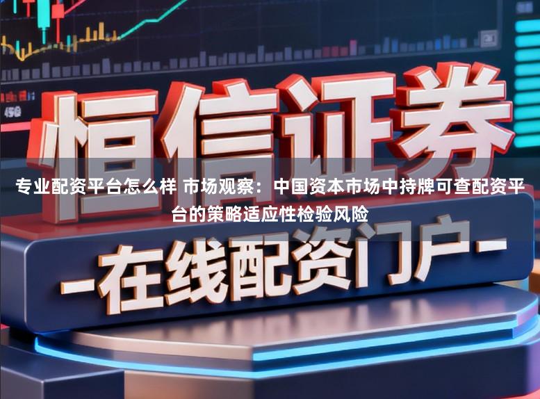 专业配资平台怎么样 市场观察：中国资本市场中持牌可查配资平台的策略适应性检验风险