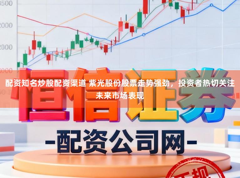 配资知名炒股配资渠道 紫光股份股票走势强劲，投资者热切关注未来市场表现